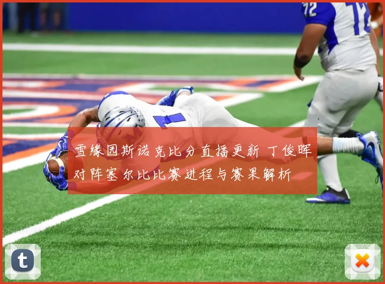 雪缘园斯诺克比分直播更新 丁俊晖对阵塞尔比比赛进程与赛果解析