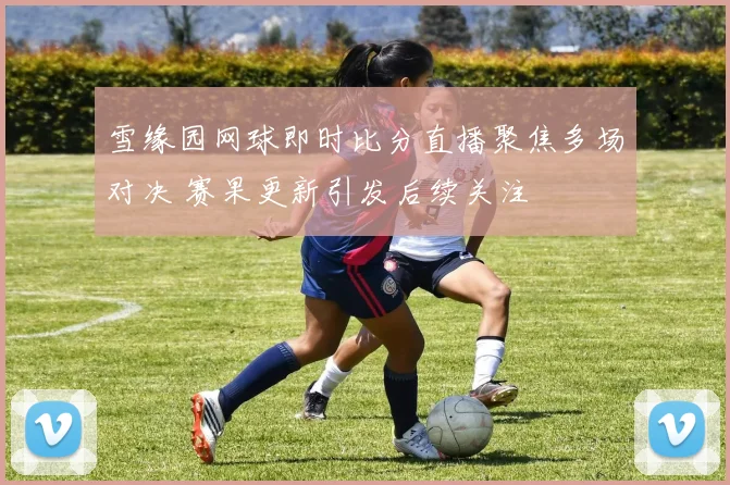 雪缘园网球即时比分直播聚焦多场对决 赛果更新引发后续关注