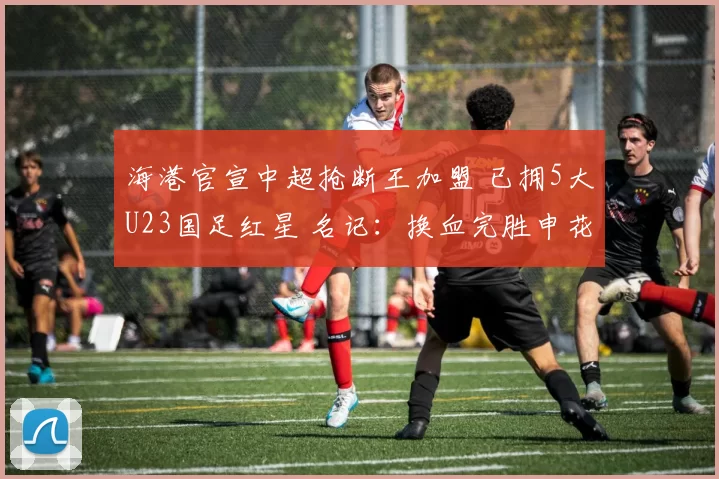 海港官宣中超抢断王加盟 已拥5大U23国足红星 名记：换血完胜申花