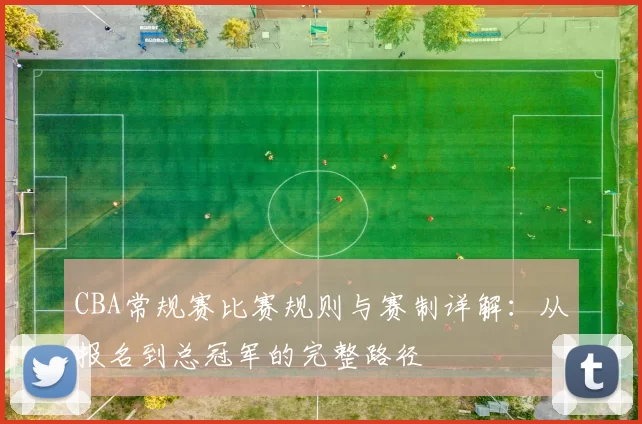 CBA常规赛比赛规则与赛制详解：从报名到总冠军的完整路径