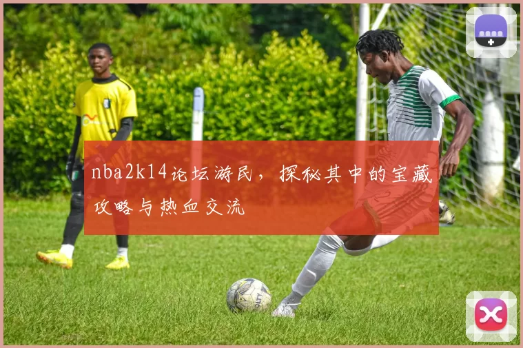 nba2k14论坛游民，探秘其中的宝藏攻略与热血交流