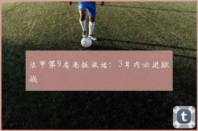 法甲第9名老板放话：3年内必进欧战