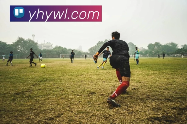 乐鱼官网入口首页平台生态图